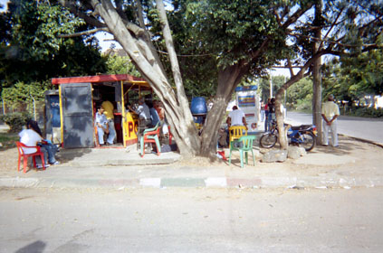 338-11.jpg