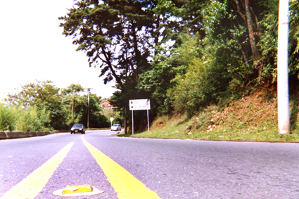 504-32.jpg