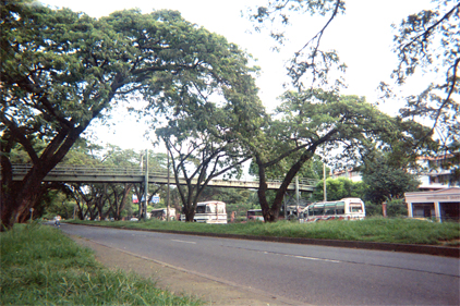 436-3.jpg