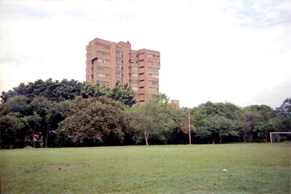 368-2.jpg