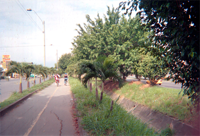 243-22.jpg