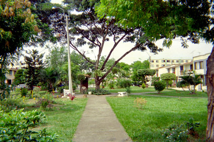 373-17.jpg