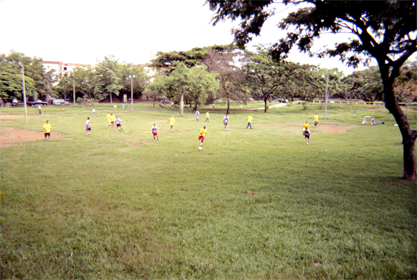 350-9.jpg
