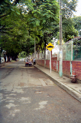 181-20.jpg