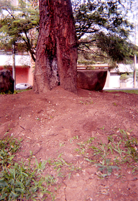 018-10.jpg