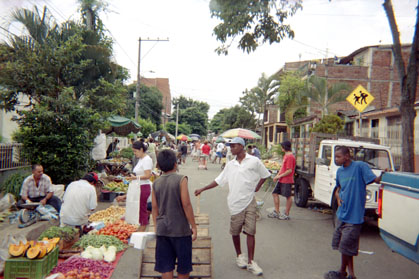 381-12.jpg