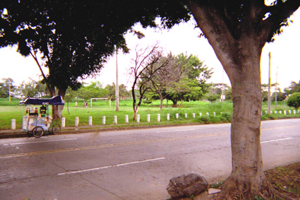 031-20.jpg
