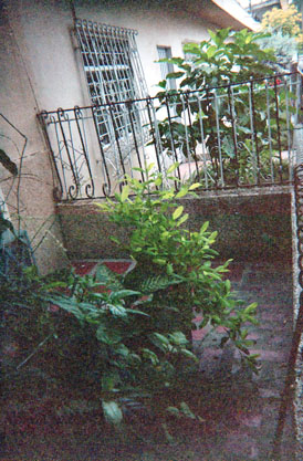 378-14.jpg