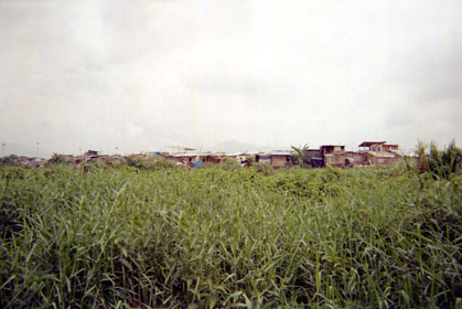 295-12.jpg