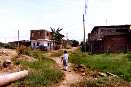 477-13.jpg