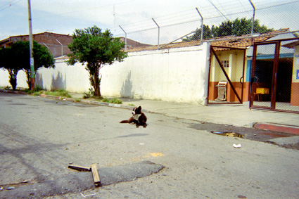 266-8.jpg