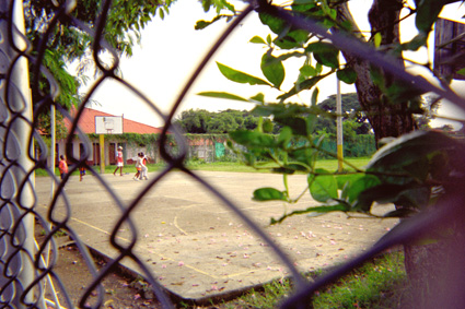 263-14.jpg