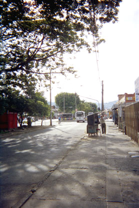 338-10.jpg