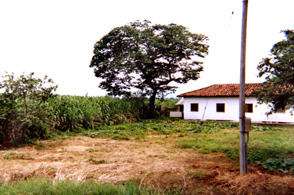 477-32.jpg