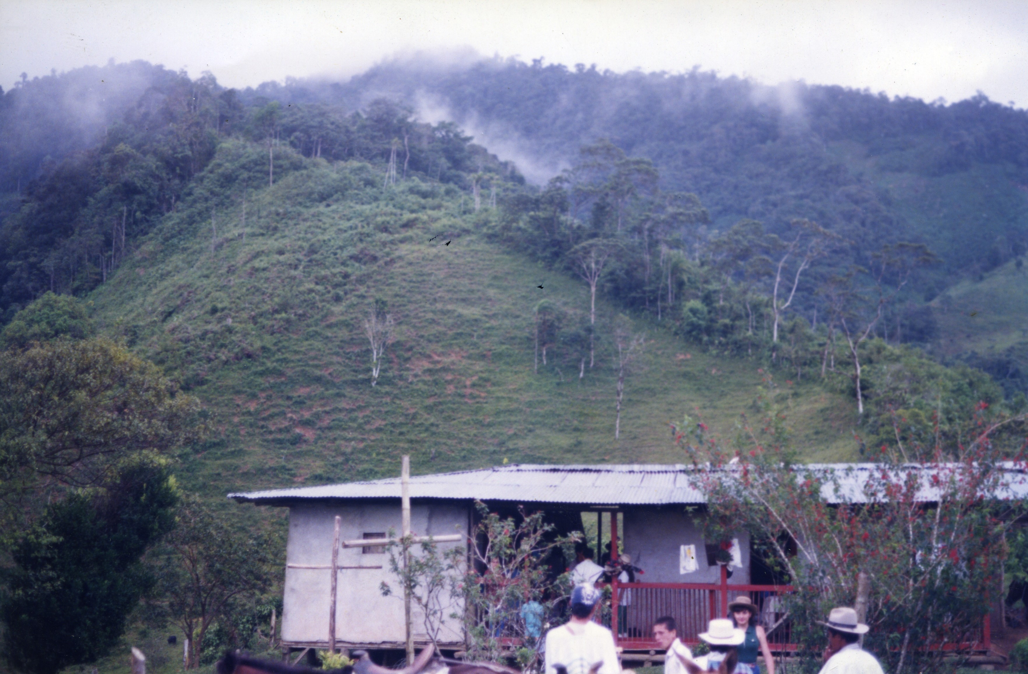 Fdo014970.jpg
