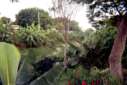 291-1.jpg