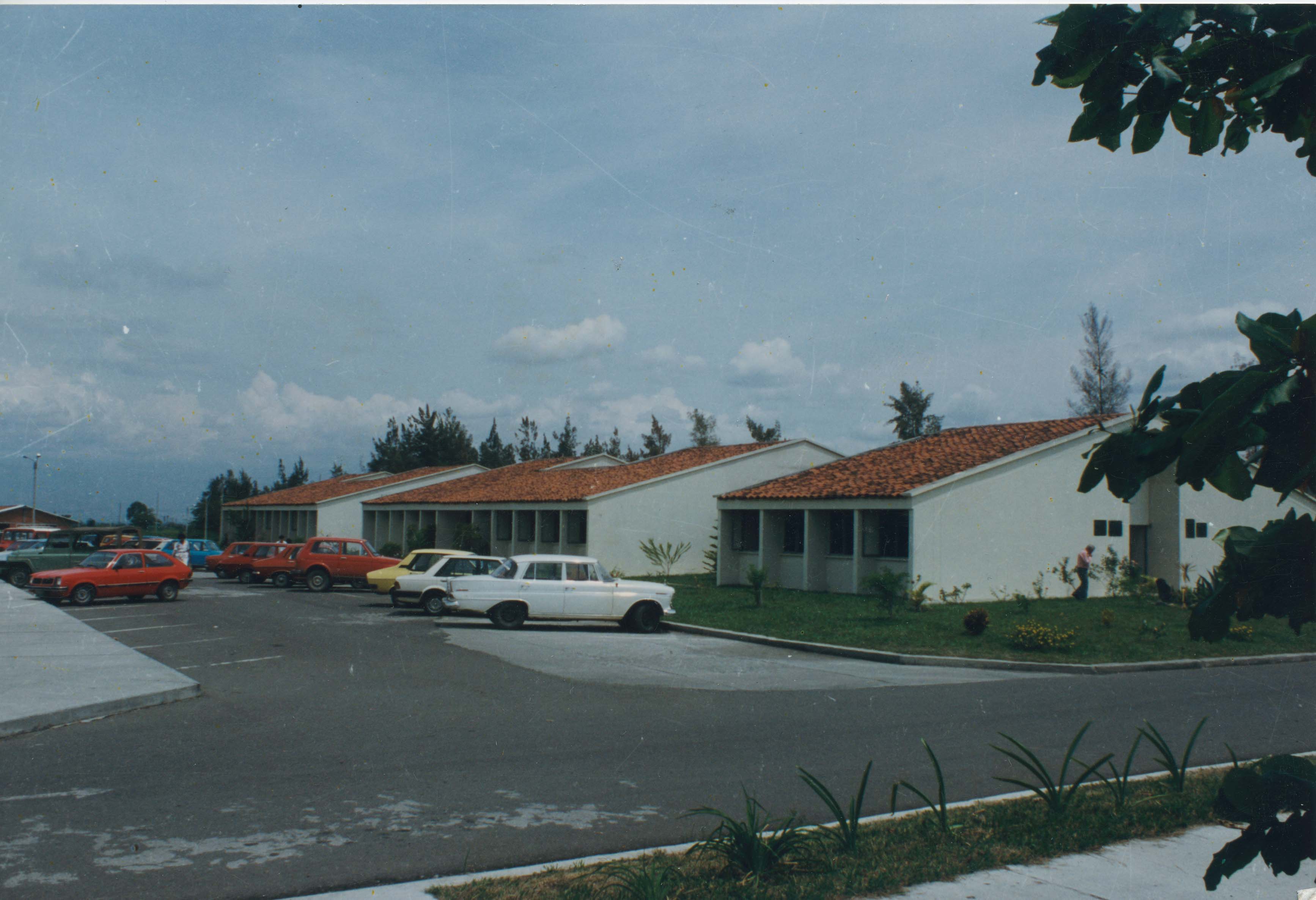 Fdo 0010251.jpg