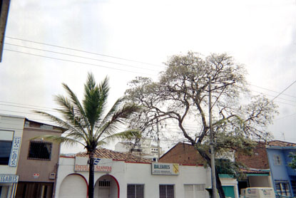 423-12.jpg