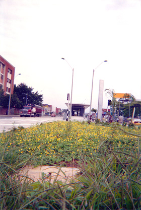 118-14.jpg