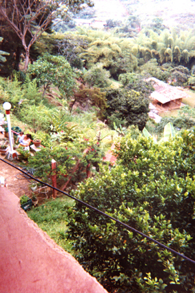 497-32.jpg