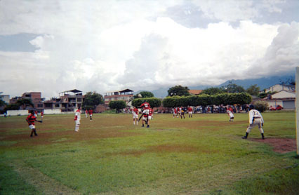 228-12.jpg