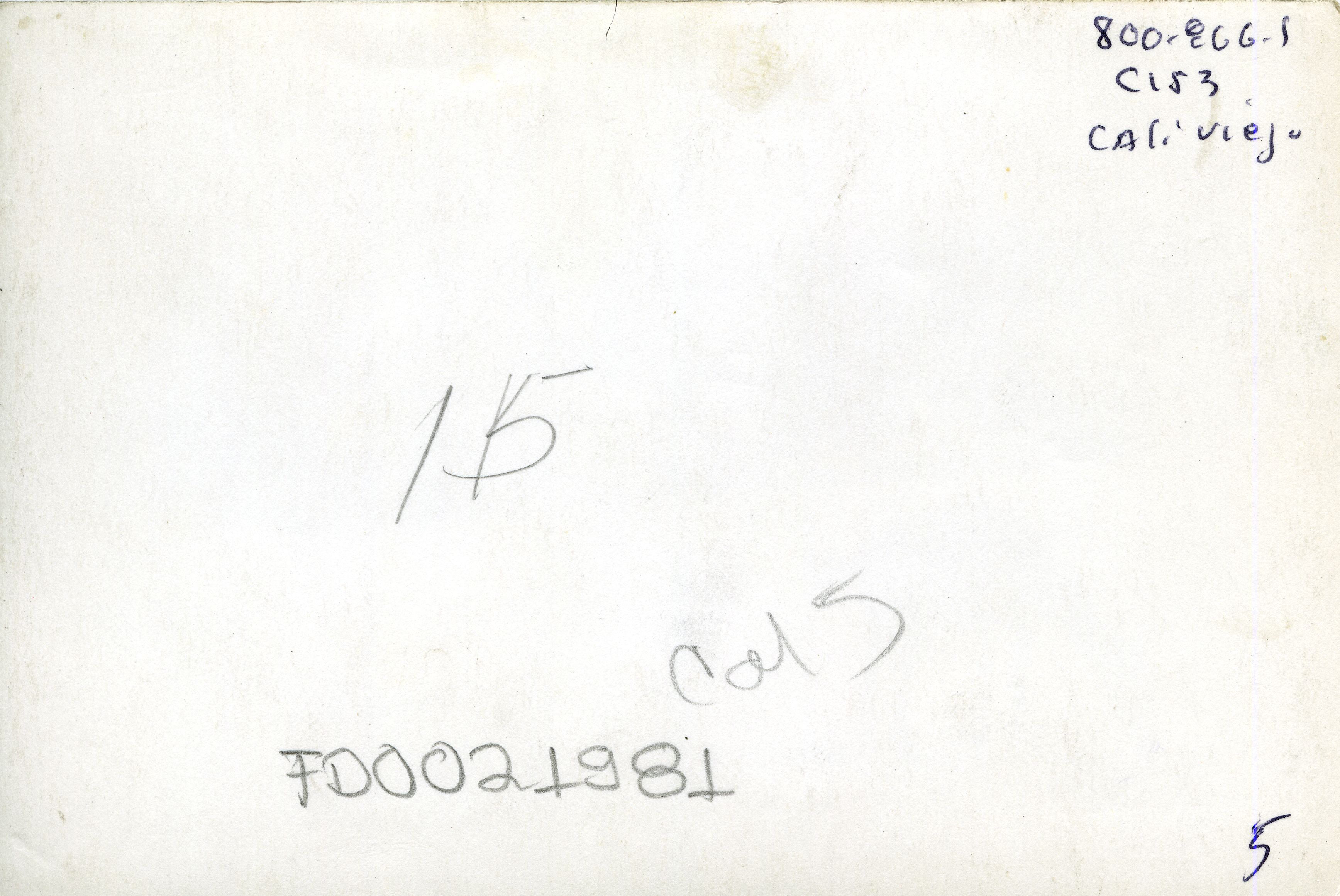 FDO021981A.jpg