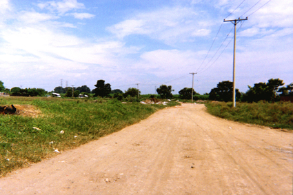 477-5.jpg