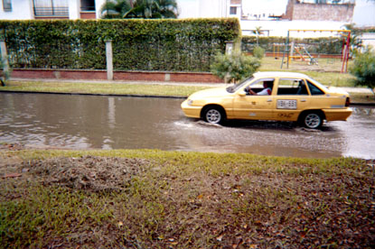 220-10.jpg