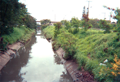 154-22.jpg