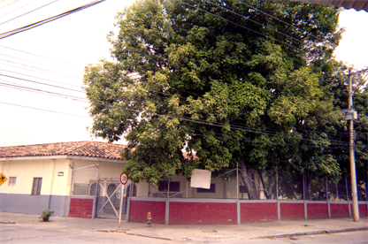188-19.jpg