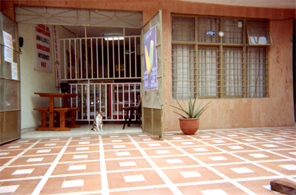 243-00.jpg