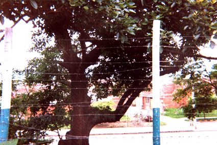 485-25.jpg