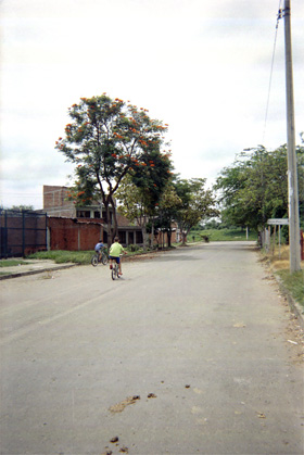 473-15.jpg
