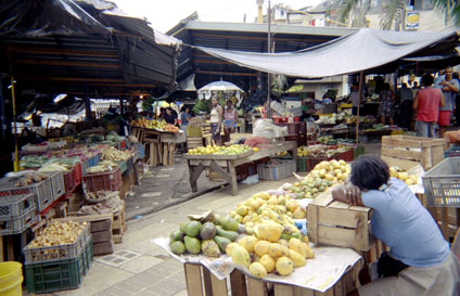 466-30.jpg