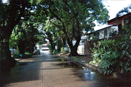 446-30.jpg