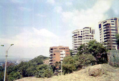 435-19.jpg