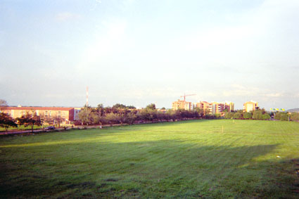 367-9.jpg