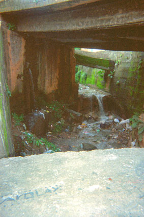 454-10.jpg