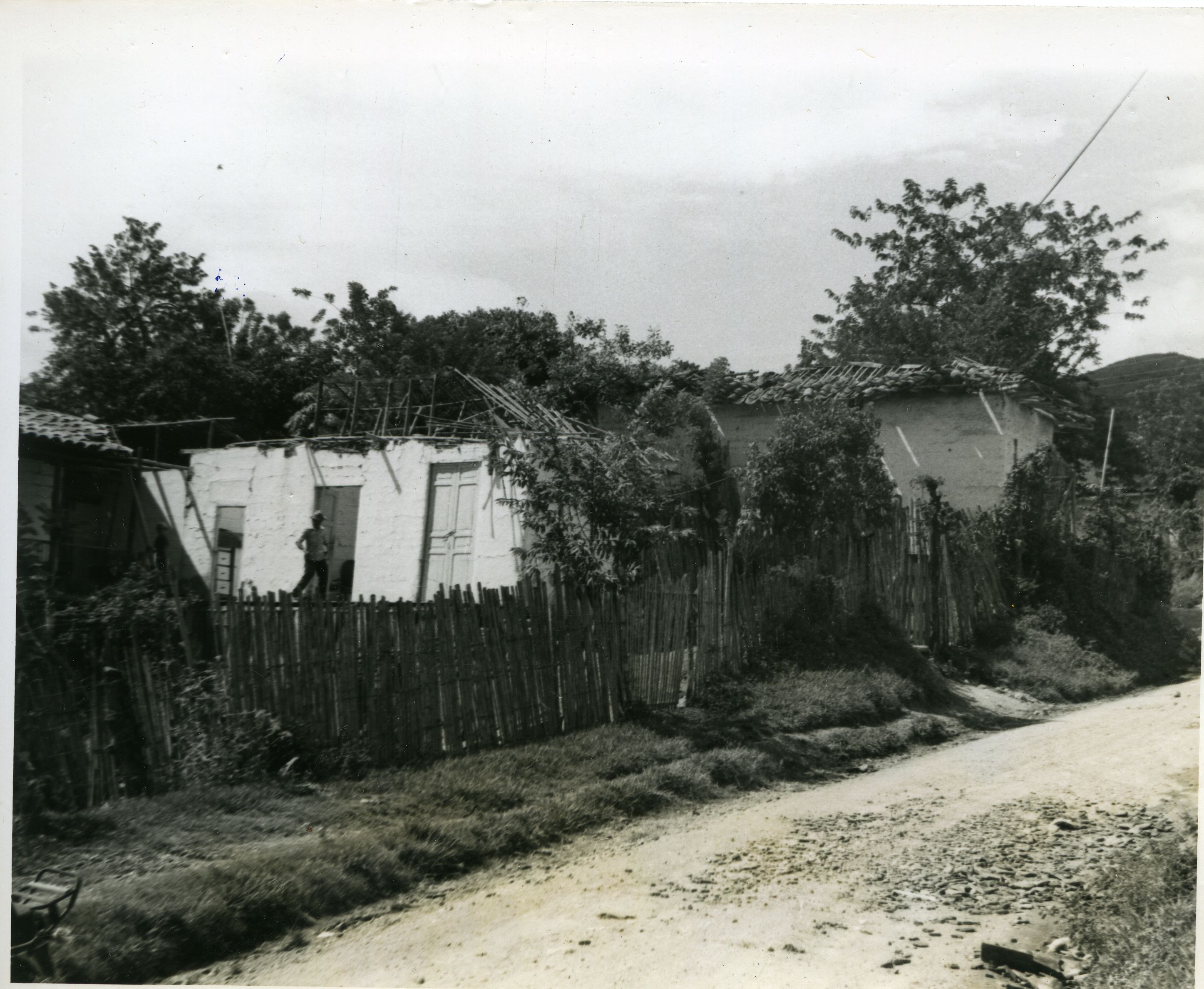 FDO021974.jpg