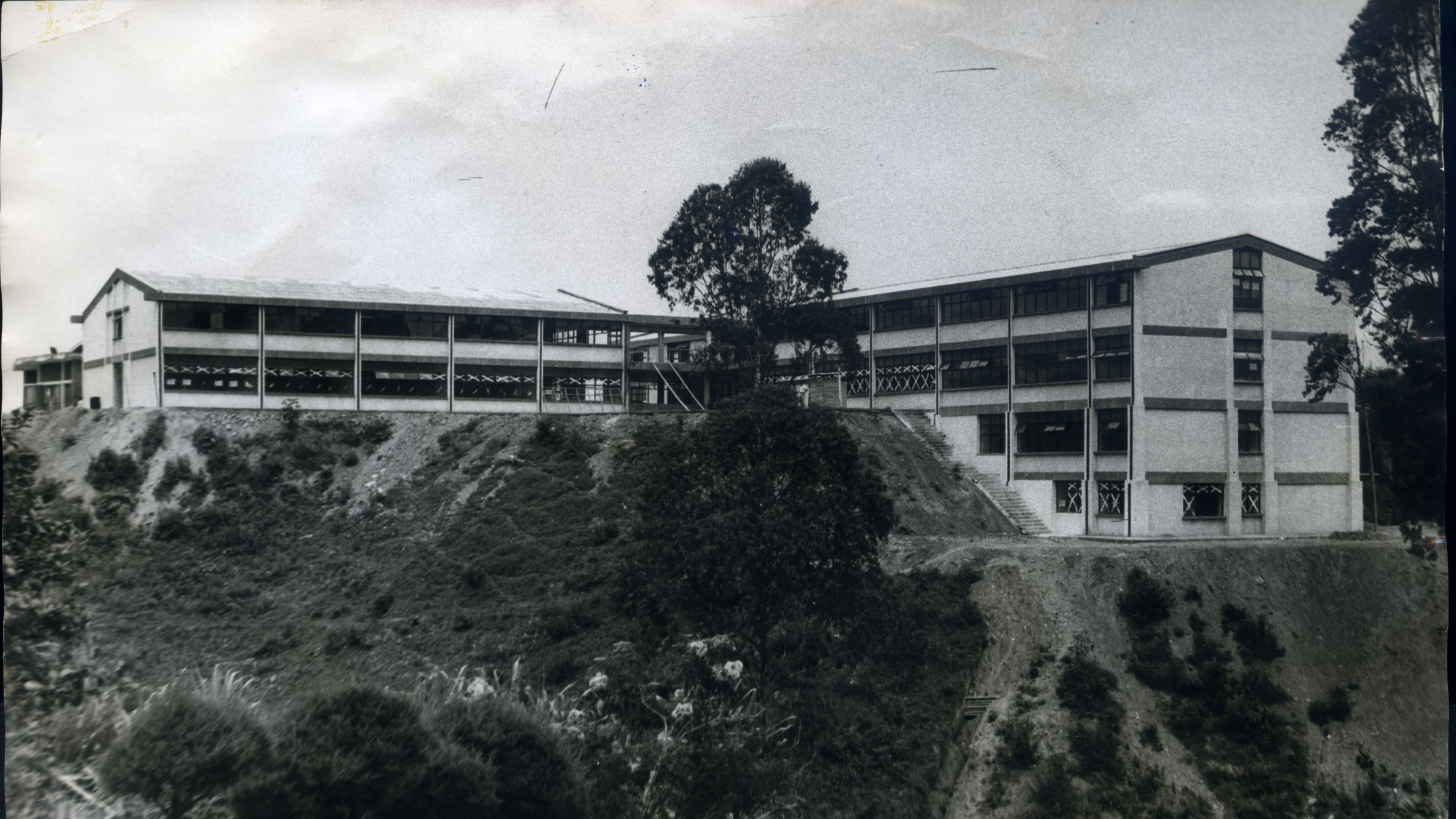 Fdo 011860.jpg