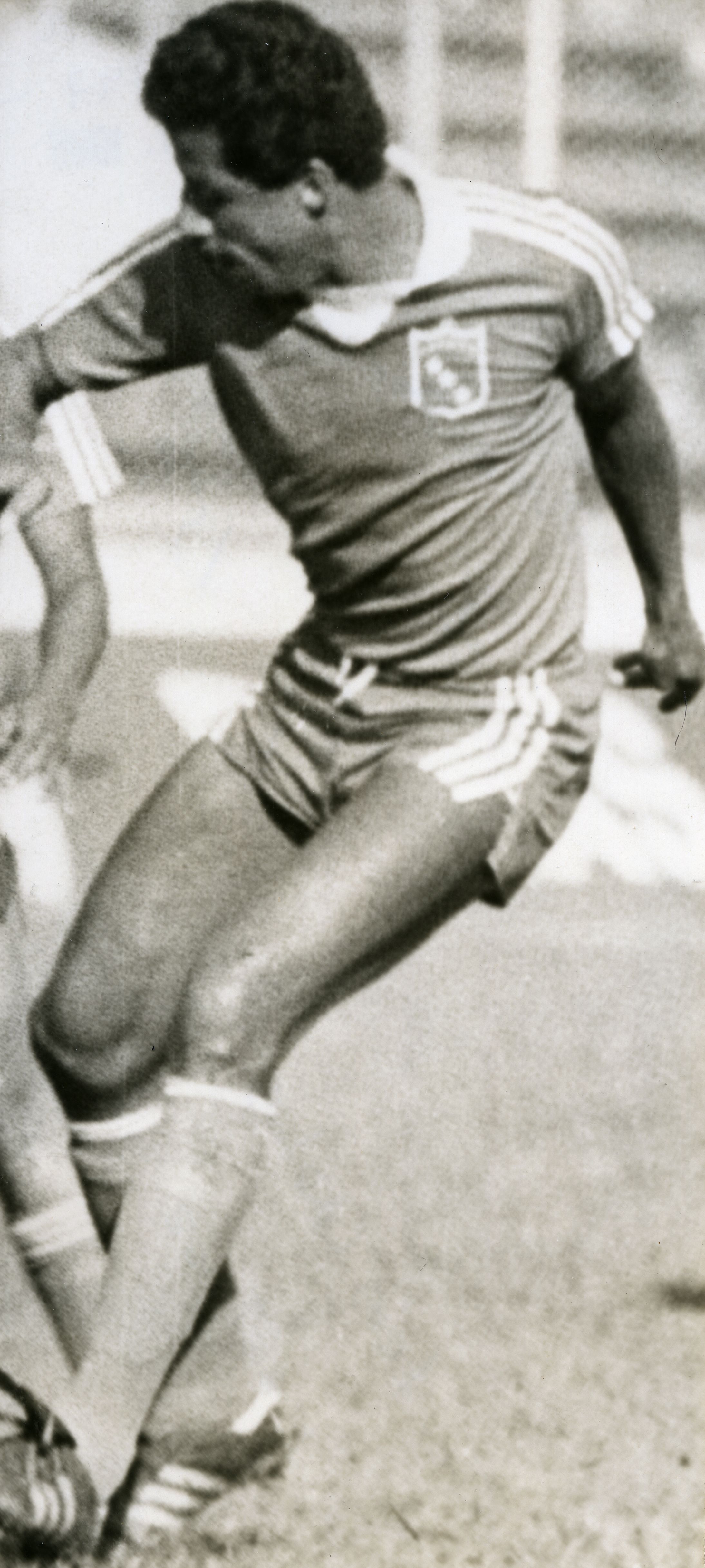 FDO019792.jpg