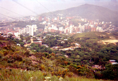 043-15.jpg