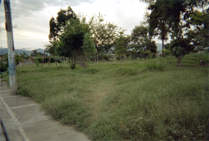 285-20.jpg