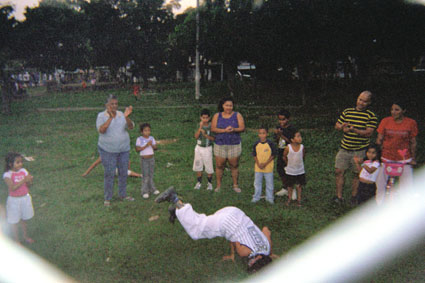 337-7.jpg