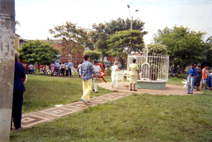 121-17.jpg