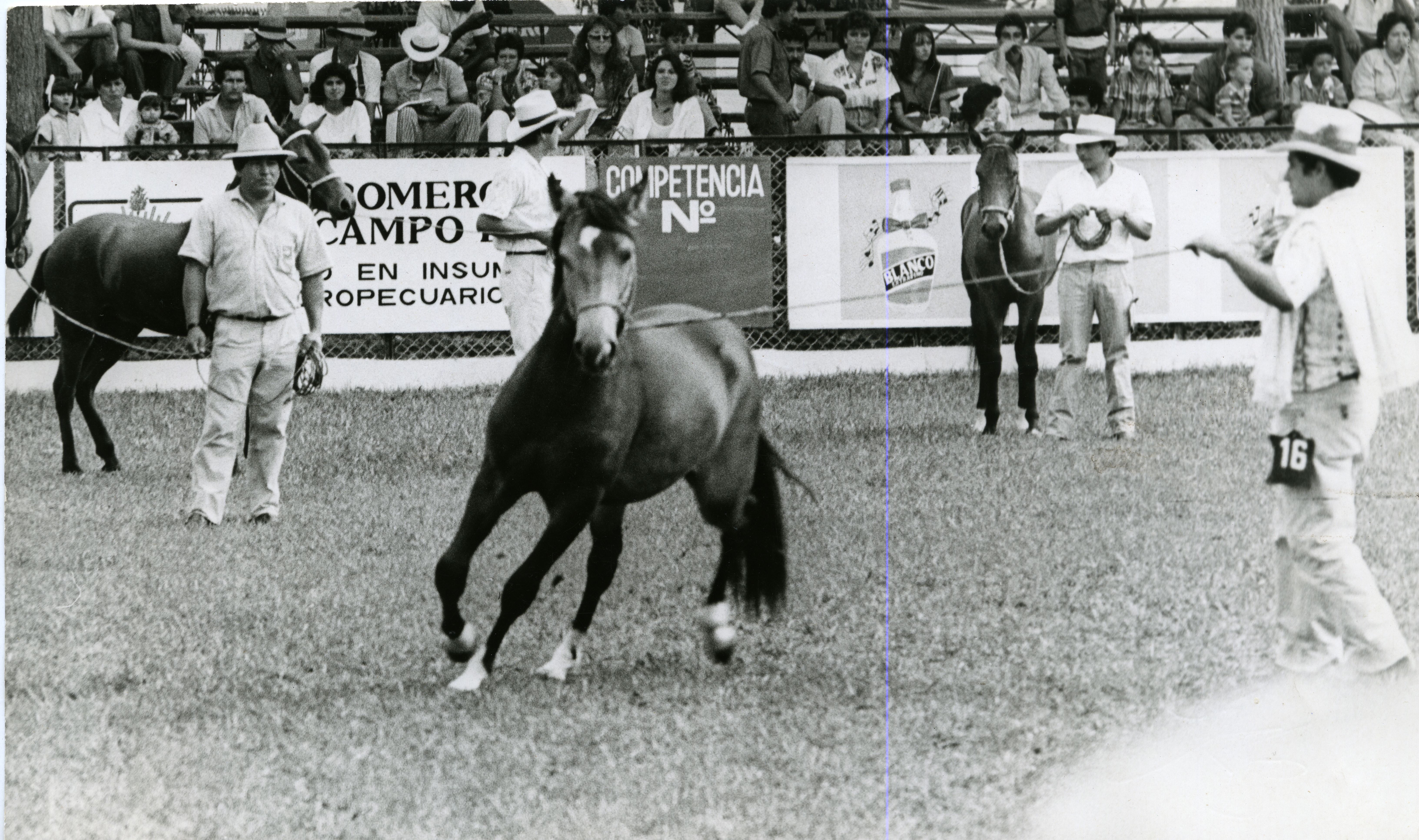 FDO021194.jpg
