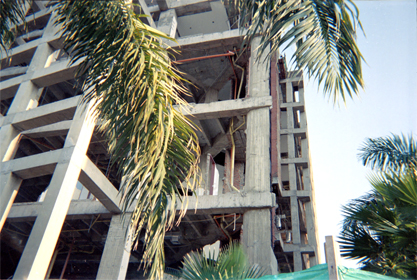 433-30.jpg