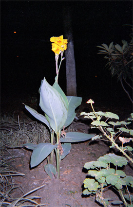 092-14.jpg