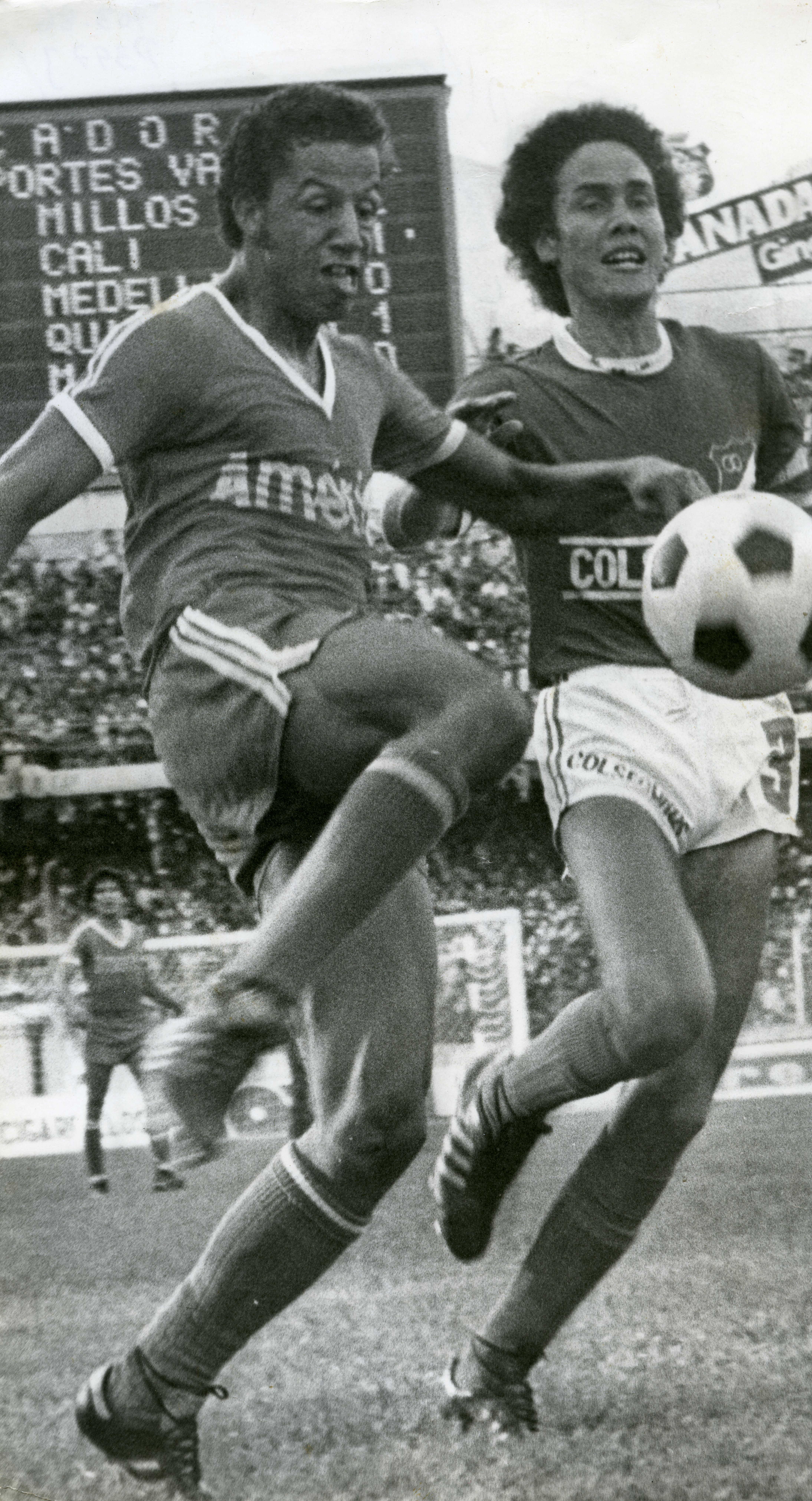 FDO019820.jpg