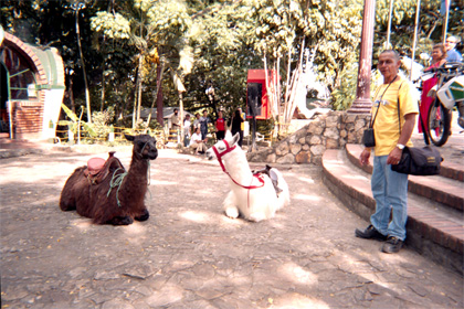 056-20.jpg